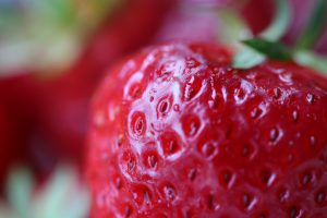 רותם אביטבול מלמד: פירות יער נוגדי הזדקנות