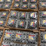 רותם אביטבול מלמד: פירות יער נוגדי הזדקנות