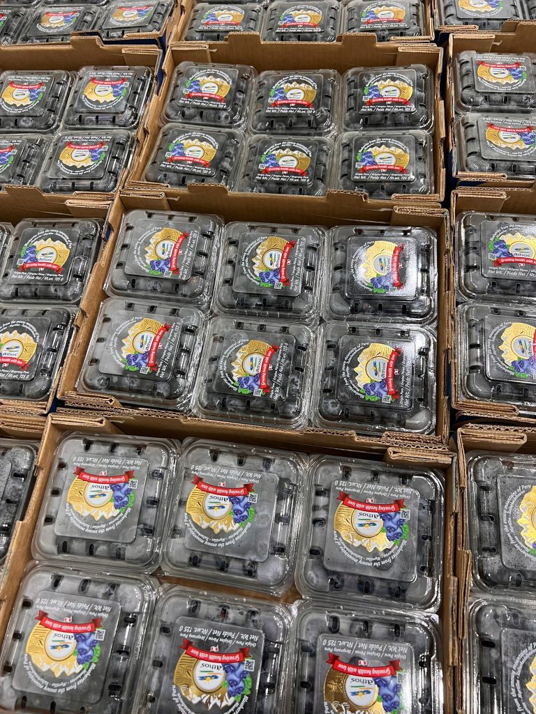 רותם אביטבול מלמד: פירות יער נוגדי הזדקנות